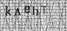 Visual Confirmation Security Code
