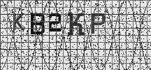 Visual Confirmation Security Code