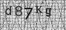 Visual Confirmation Security Code