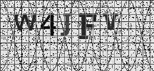 Visual Confirmation Security Code