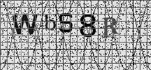 Visual Confirmation Security Code